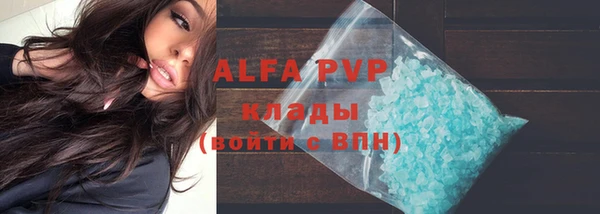 дживик Богородицк
