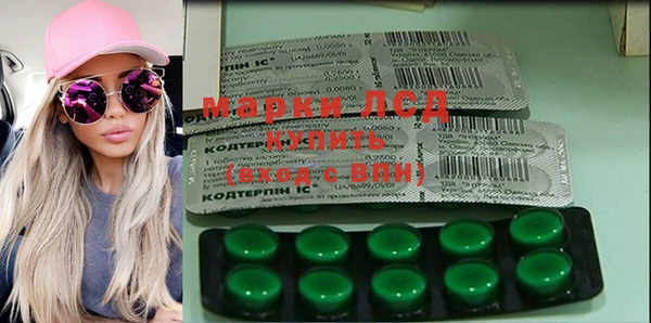 spice Богородск