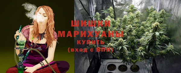 дживик Богородицк