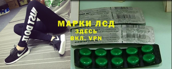 spice Богородск