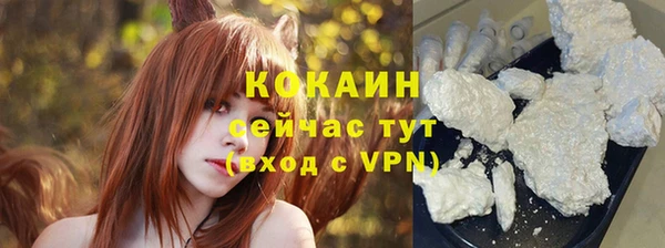 spice Богородск