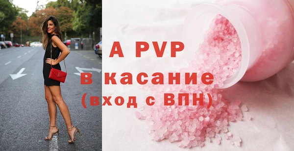 spice Богородск