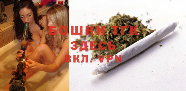 дживик Богородицк
