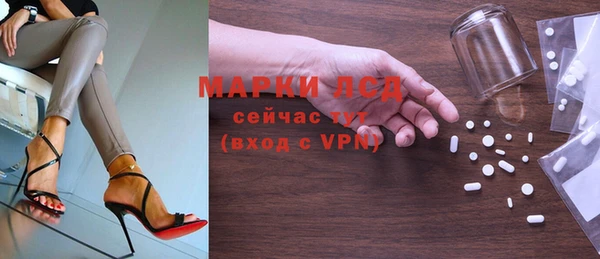 spice Богородск