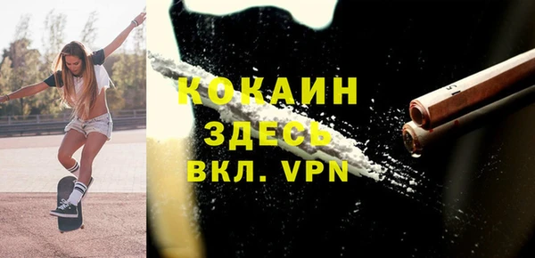 дживик Богородицк
