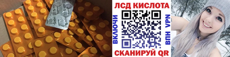 Лсд 25 экстази ecstasy  купить  цена  Богородск 