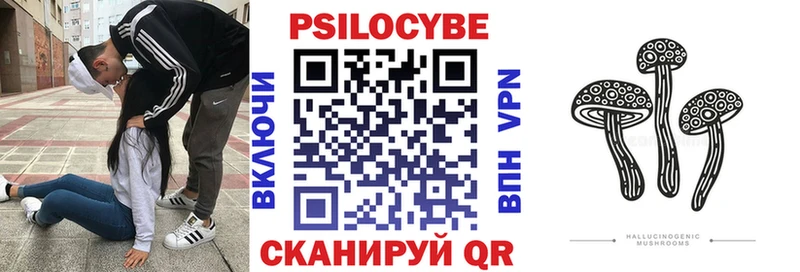 закладки  Богородск  Галлюциногенные грибы Cubensis 